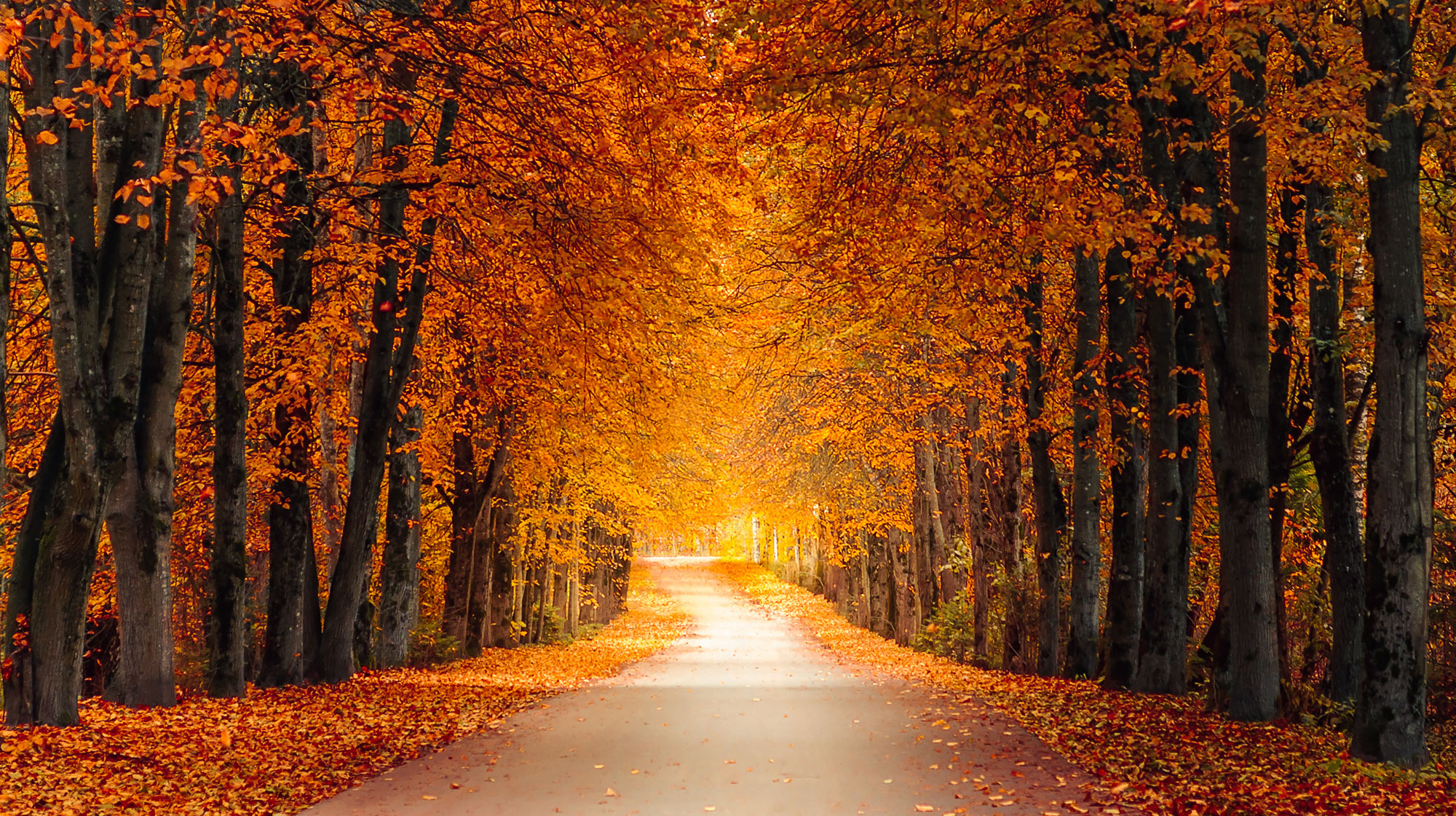 An Awakened Path - New Thought Movement